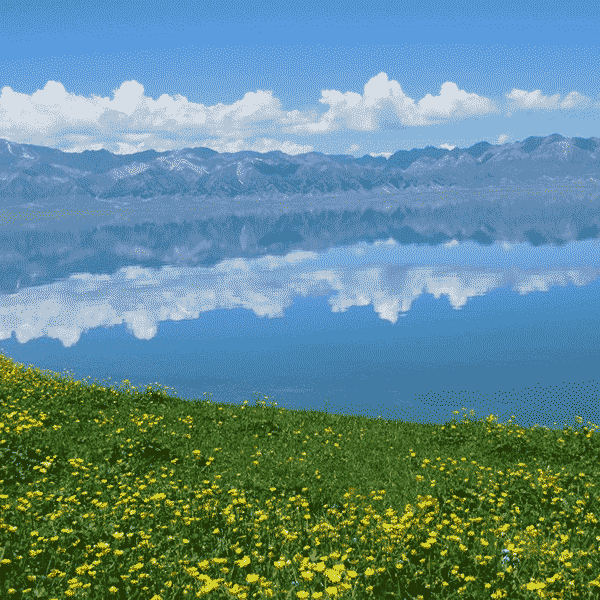 腾格里沙漠·团队远征挑战